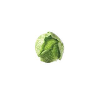 Cabbage, Green per Kg